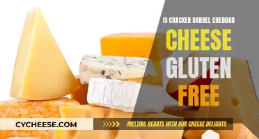 Cracker Barrel Cheddar: Gluten-Free Cheese Delight