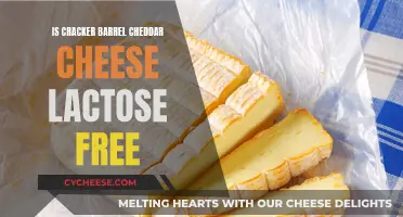 Cracker Barrel Cheddar: Lactose-Free or Not? Unveiling the Cheese Mystery