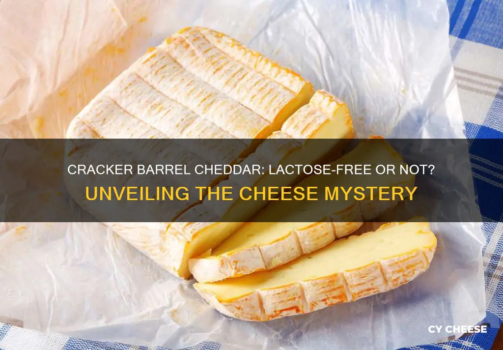 is cracker barrel cheddar cheese lactose free