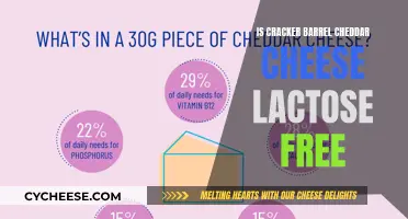 Lactose-Free Living: Is Cracker Barrel Cheddar Cheese Safe?