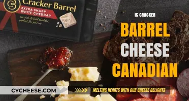 Is Cracker Barrel Cheese Canadian? Unraveling the Origin Mystery