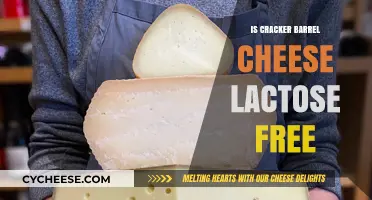 Cracker Barrel Cheese: Lactose-Free or Not?