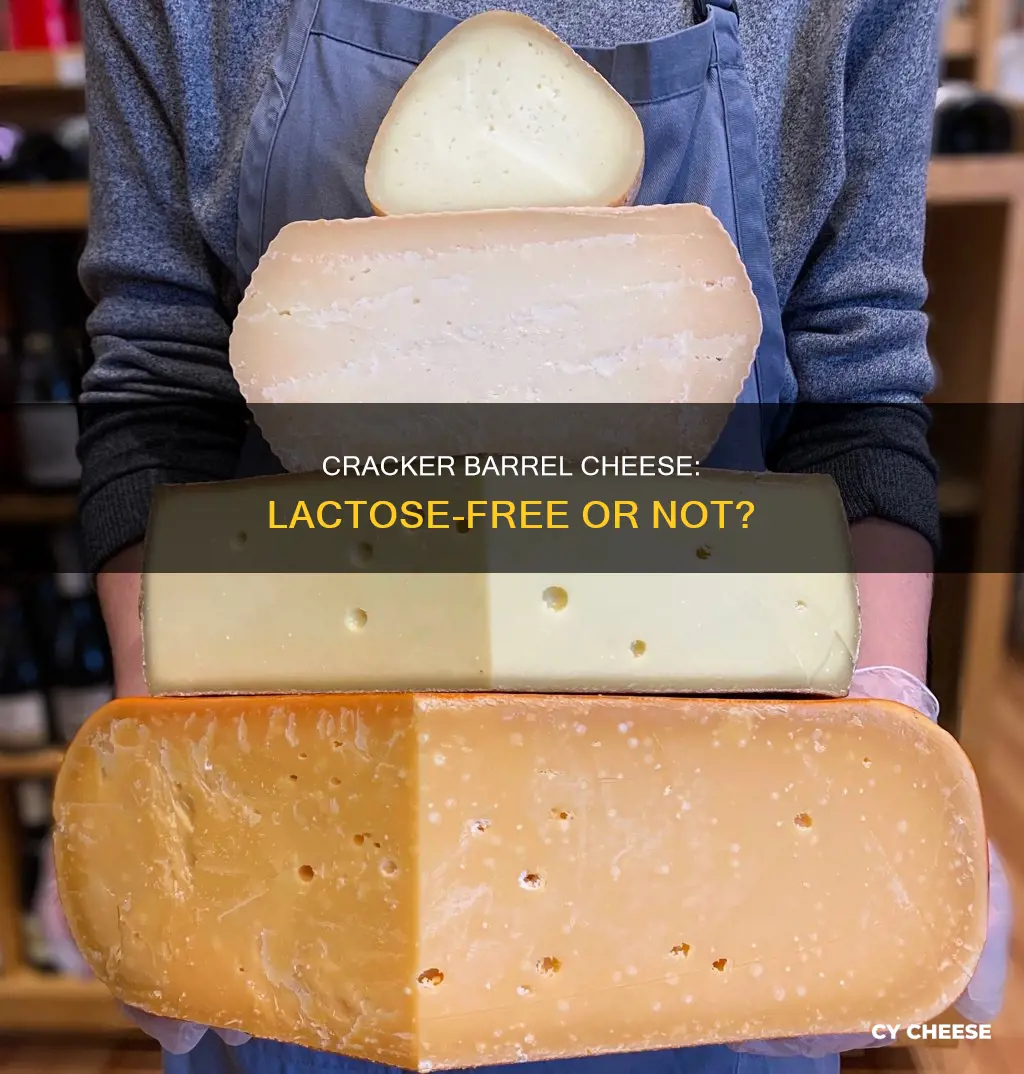 is cracker barrel cheese lactose free
