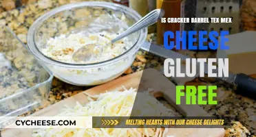 Gluten-Free Tex Mex Cheese at Cracker Barrel