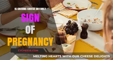 Craving Cheese: Could It Be an Early Pregnancy Sign?