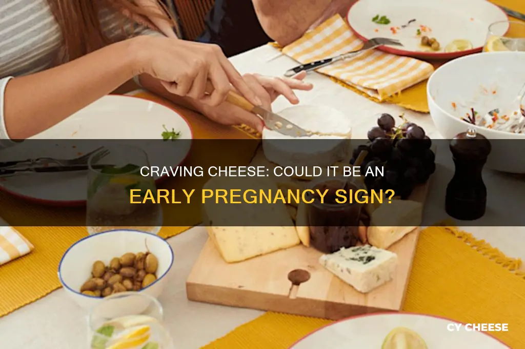 is craving cheese an early sign of pregnancy