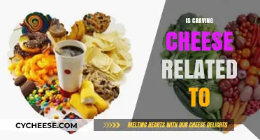 Is Craving Cheese Linked to Health, Hormones, or Habits?