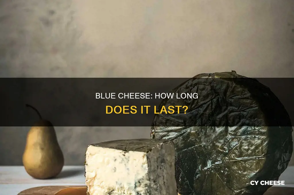 is creamy blue cheese still good after 2 years