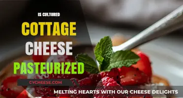 Is Cultured Cottage Cheese Pasteurized? Unraveling the Dairy Dilemma