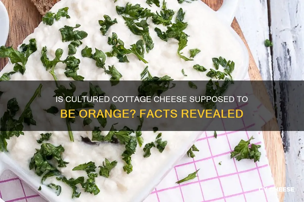 is cultured cottage cheese supposed to be orange