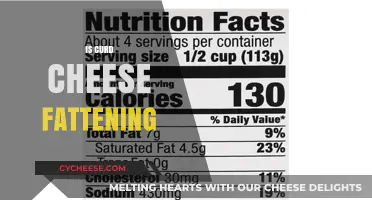 Is Curd Cheese Fattening? Uncovering the Truth About Its Caloric Impact