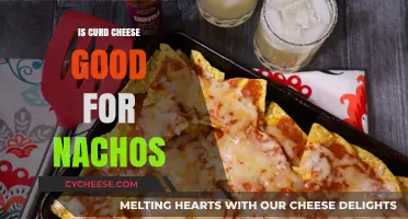 Curd Cheese on Nachos: A Tasty Topping?