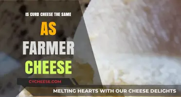 Curd Cheese vs. Farmer Cheese: Understanding the Key Differences