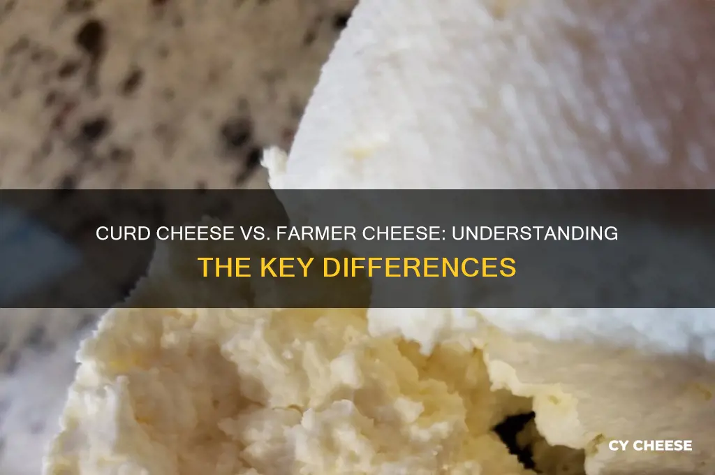 is curd cheese the same as farmer cheese