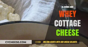 Is Curds and Whey Cottage Cheese? Unraveling the Dairy Mystery