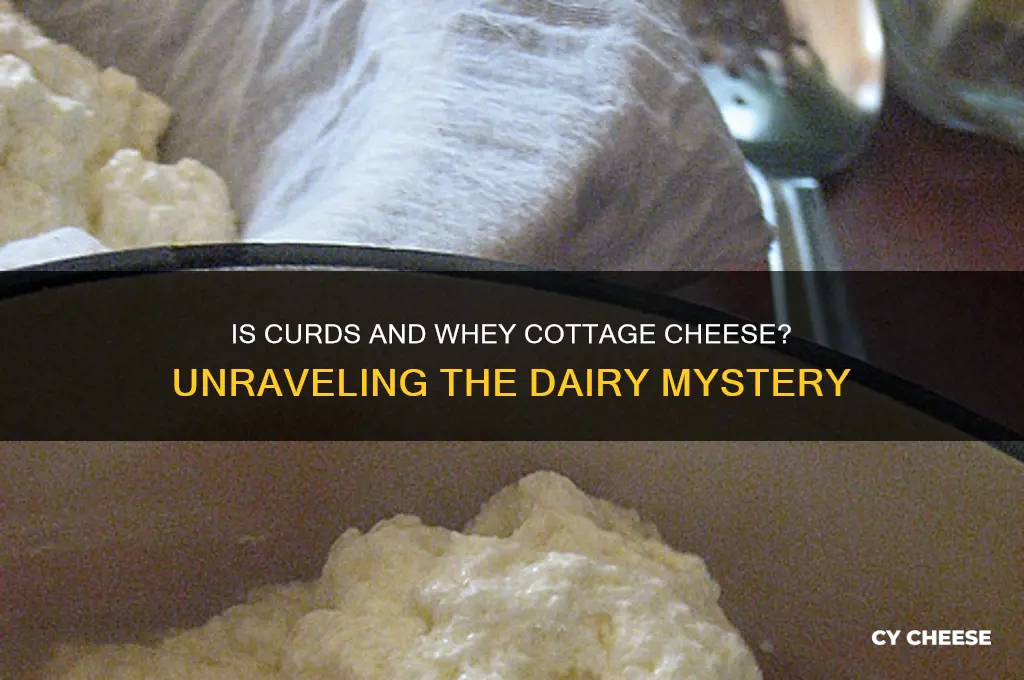 is curds and whey cottage cheese