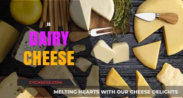Is Dairy Cheese Healthy? Unraveling the Truth Behind the Milk Myth