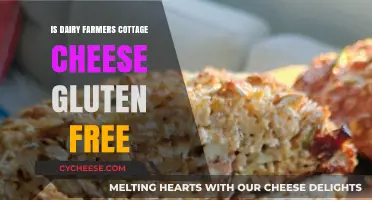 Is Dairy Farmers Cottage Cheese Gluten-Free? A Clear Answer