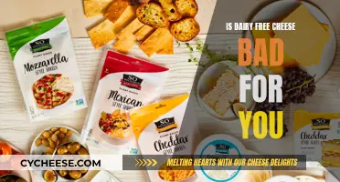 Dairy-Free Cheese: Healthy or Unhealthy?