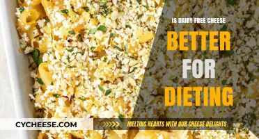 Dairy-Free Cheese: A Better Dieting Option?