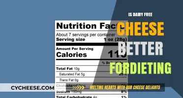 Dairy-Free Cheese: A Healthy Dieting Option?