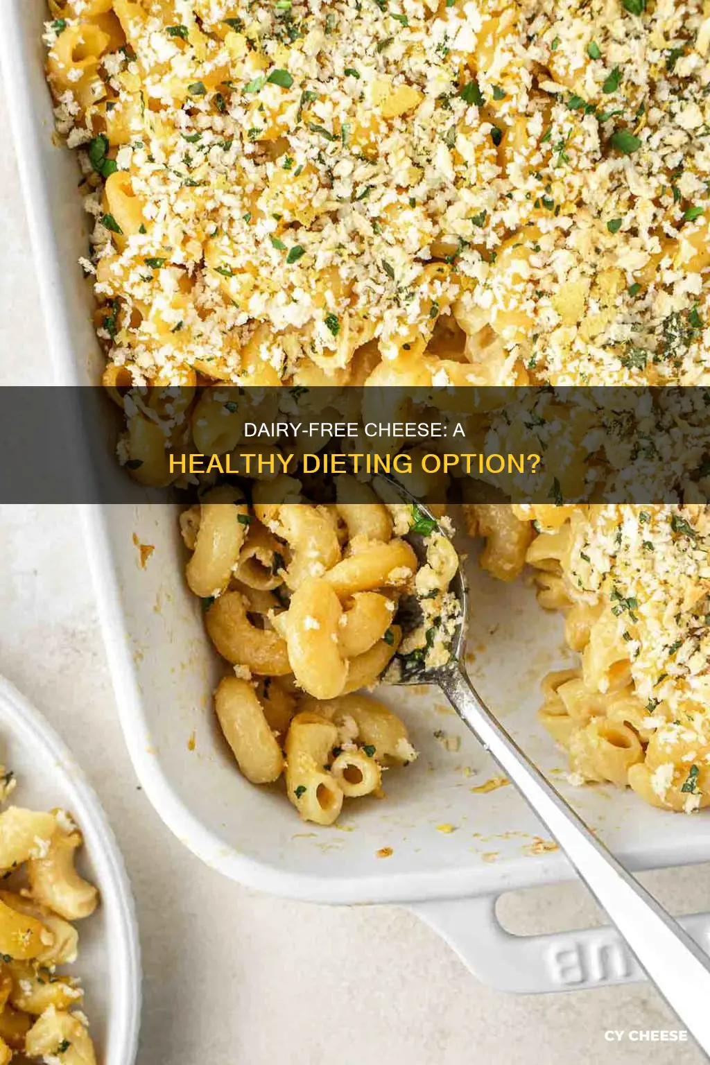 is dairy free cheese better fordieting