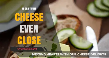 Dairy-Free Cheese: A Close Alternative?