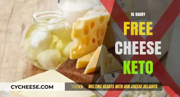 Dairy-Free Cheese: Keto-Friendly or Not?
