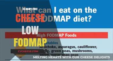 Dairy-Free Cheese: A Low-FODMAP Diet Option?