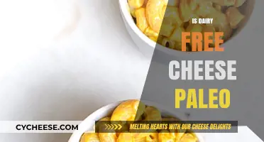 Paleo Diet: Dairy-Free Cheese, a Healthy Option?