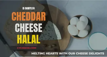 Dairylea Cheddar: A Halal Cheese Inquiry