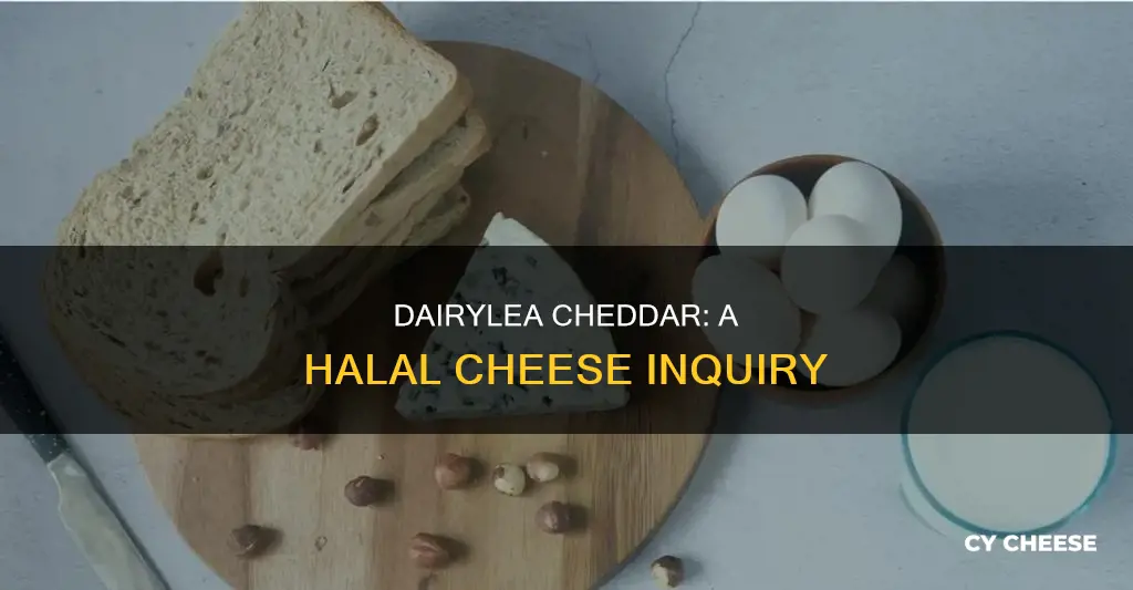 is dairylea cheddar cheese halal