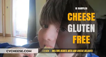 Gluten-Free Dairylea Cheese: Is It Safe to Eat?