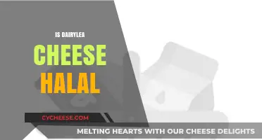 Is Dairylea Cheese Halal? Exploring Ingredients and Certification