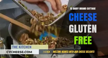 Is Daisy Brand Cottage Cheese Gluten-Free? A Complete Guide