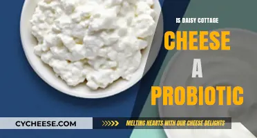Daisy Cottage Cheese: A Probiotic Powerhouse or Just Creamy Goodness?