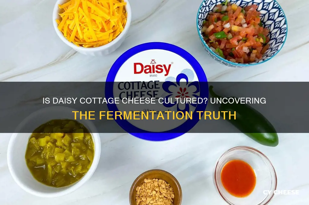 is daisy cottage cheese cultured