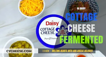 Is Daisy Cottage Cheese Fermented? Uncovering the Truth Behind the Creamy Delight