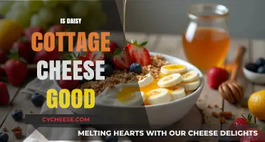 Is Daisy Cottage Cheese Good? A Tasty Review and Analysis