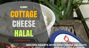 Is Daisy Cottage Cheese Halal? A Comprehensive Guide for Consumers