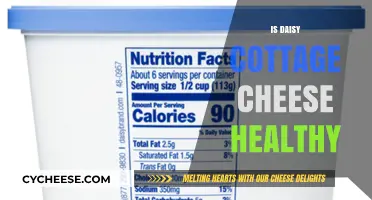 Is Daisy Cottage Cheese Healthy? Nutrition Facts and Benefits Explained