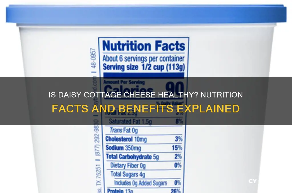 is daisy cottage cheese healthy
