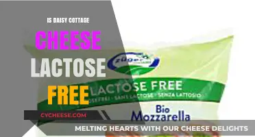 Is Daisy Cottage Cheese Lactose Free? A Complete Guide