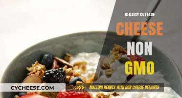 Is Daisy Cottage Cheese Non-GMO? Uncovering the Truth About Ingredients