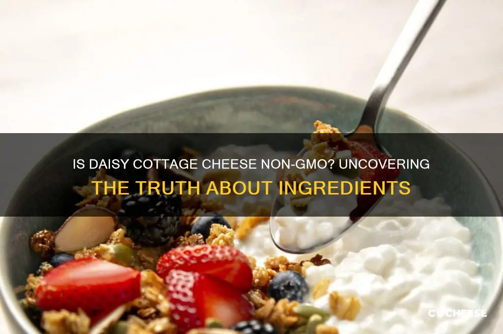 is daisy cottage cheese non gmo
