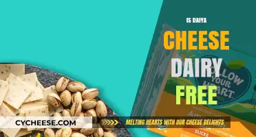 Dairy-Free Diets: Is Daiya Cheese Worth It?