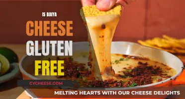 Daiya Cheese: A Gluten-Free Option?