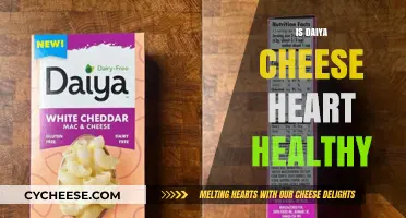 Daiya Cheese: Healthy Heart Option?