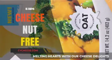 Daiya Cheese: Nut-Free and Delicious