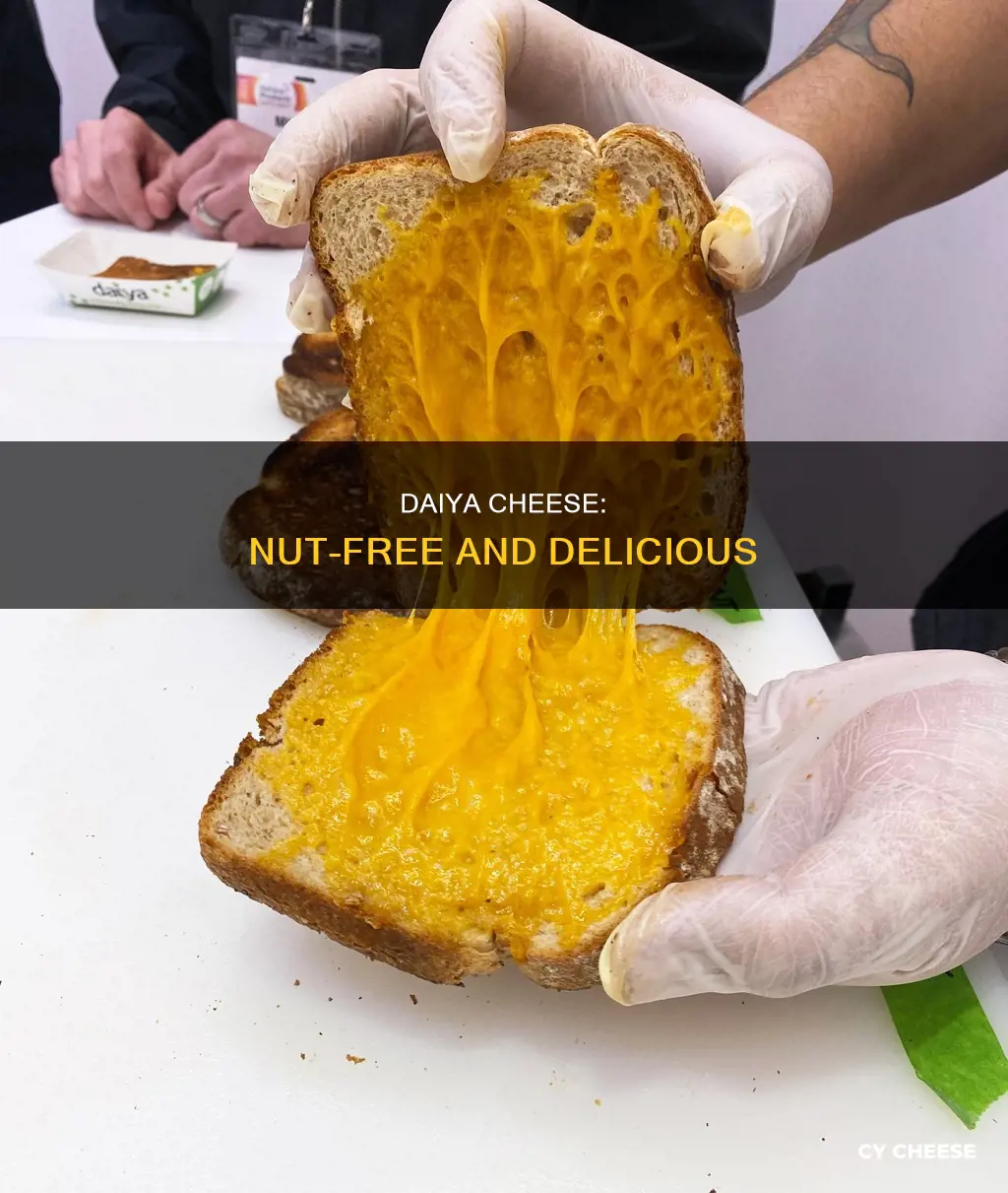 is daiya cheese nut free